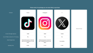 Conjoint Choice Activity